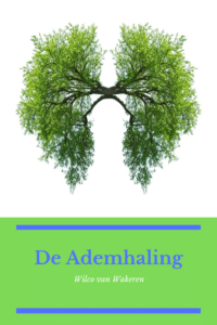 In de Mindfulness MBSR training maken we contact met onze ademhaling en verbinden deze bewust met ons lichaam. We merken hoe ademhaling onze stemming en gedachtes kan beïnvloeden. En, hoe we zelfs de beweging van ons lijf kunnen veranderen.
Mindfulness | MBSR | MBCT | Training | Bewustzijn | Mindfulness Veenendaal | Veenendaal | Stressreductie | Burnout | Aandachtstraining | Vermoeidheid | Wilco
#Mindfulness #MBSR #MBCT #Training #Bewustzijn #Veenendaal #Stressreductie #Burnout #Aandachtstraining #Vermoeidheid #Wilco
