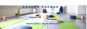 effectieve-mindfulness-cursus-groepssetting-vmbn-trainer