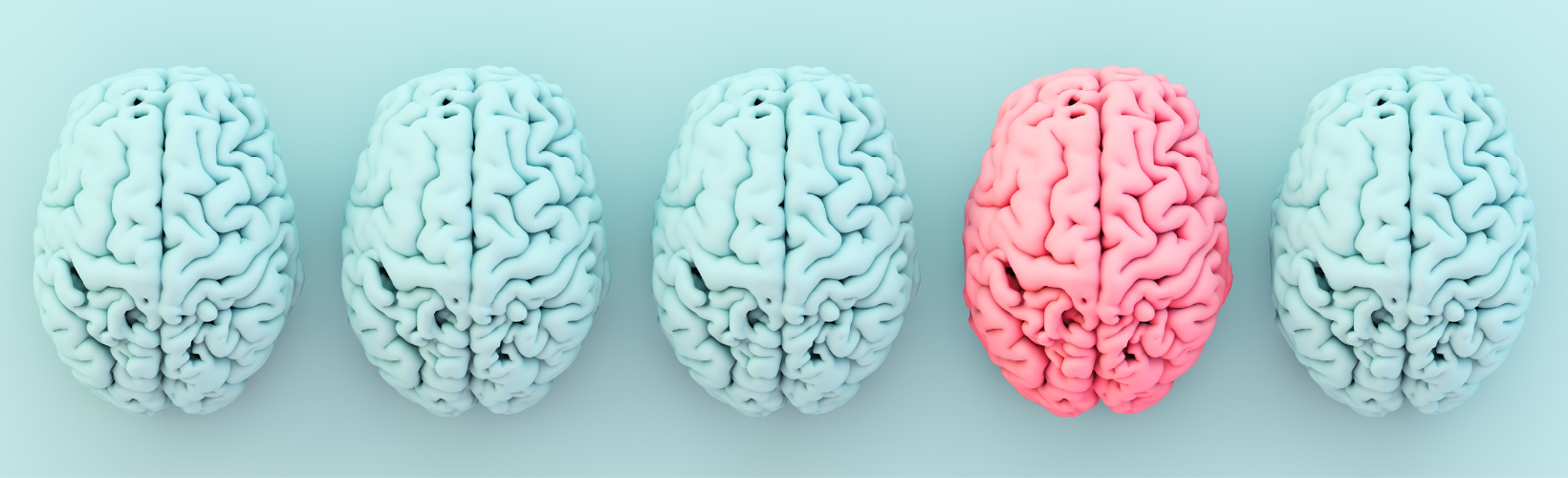 plaatje van gekleurde hersenen blauw en roze