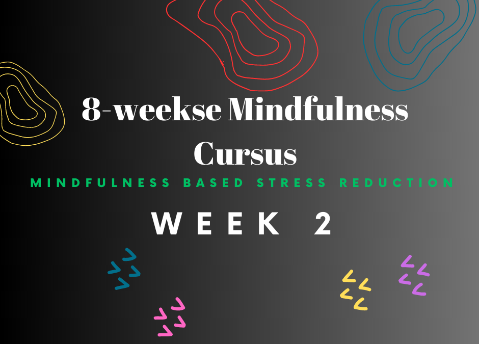 Week 2 van de Mindfulness cursus