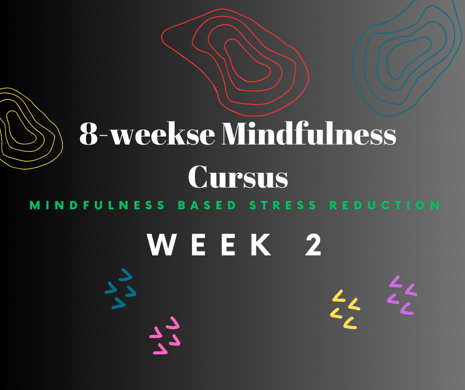 Header Week 2 van de 8 Mindfulness Cursus.