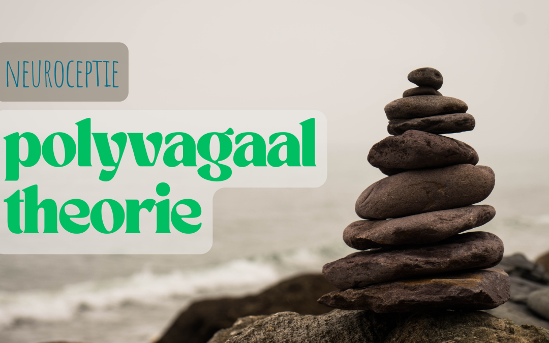 Polyvagaal Theorie en mindfulness