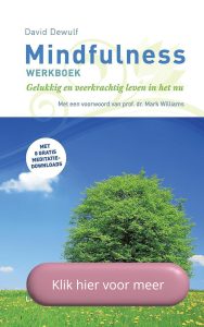 Boekomslag Mindfulness werkboek. Gelukkig en veerkrachtig leven in het nu. Kleur blauw met groene book en witten bovenkant. 
