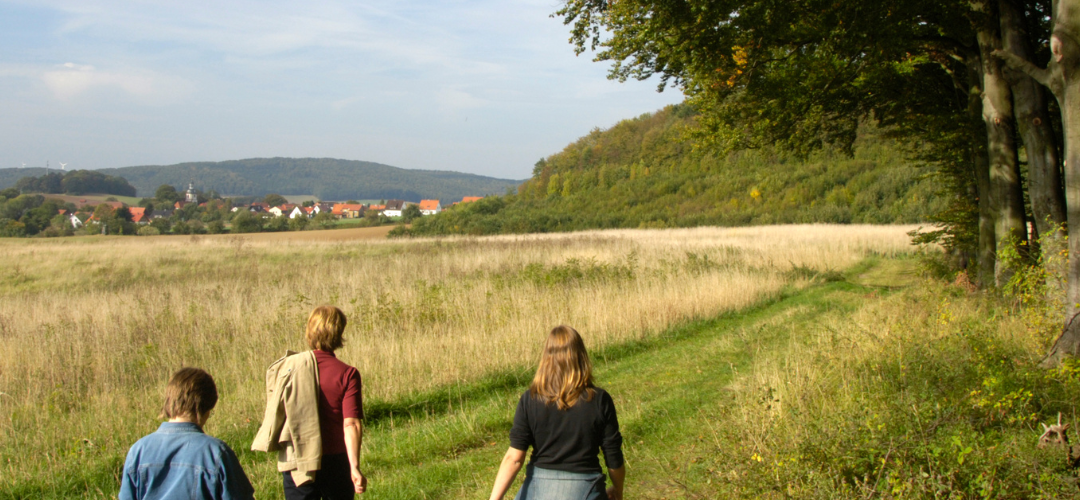 header wandelen en mindfulness. openlandschap waar 3 mensen wandelen. groene omgeving.